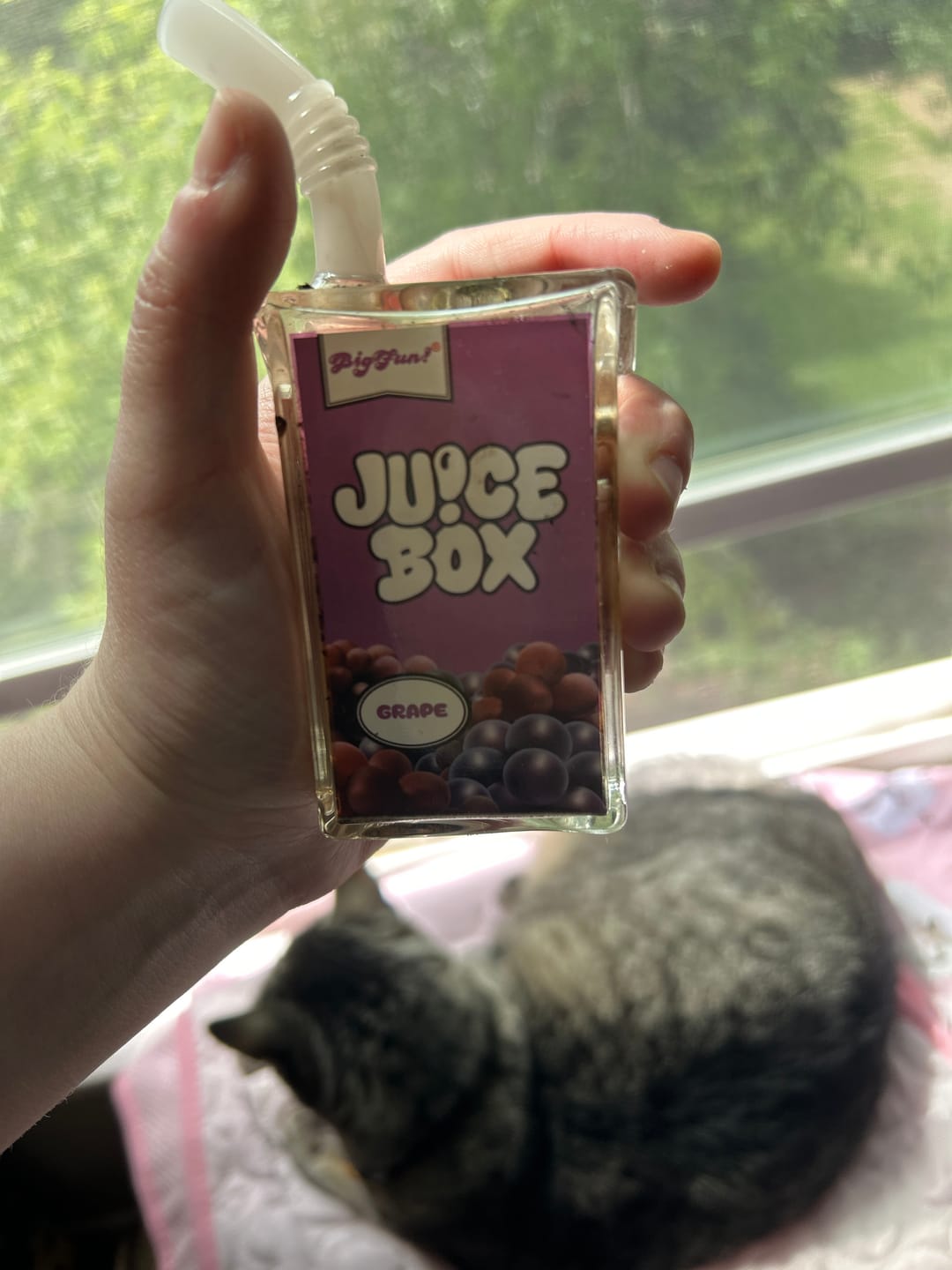 Customer photo review of Juice Box Bubbler