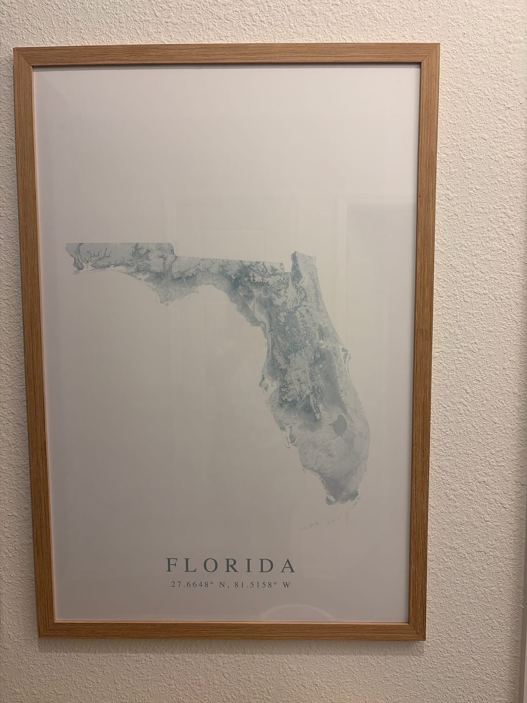 Customer photo review of Florida Map Print