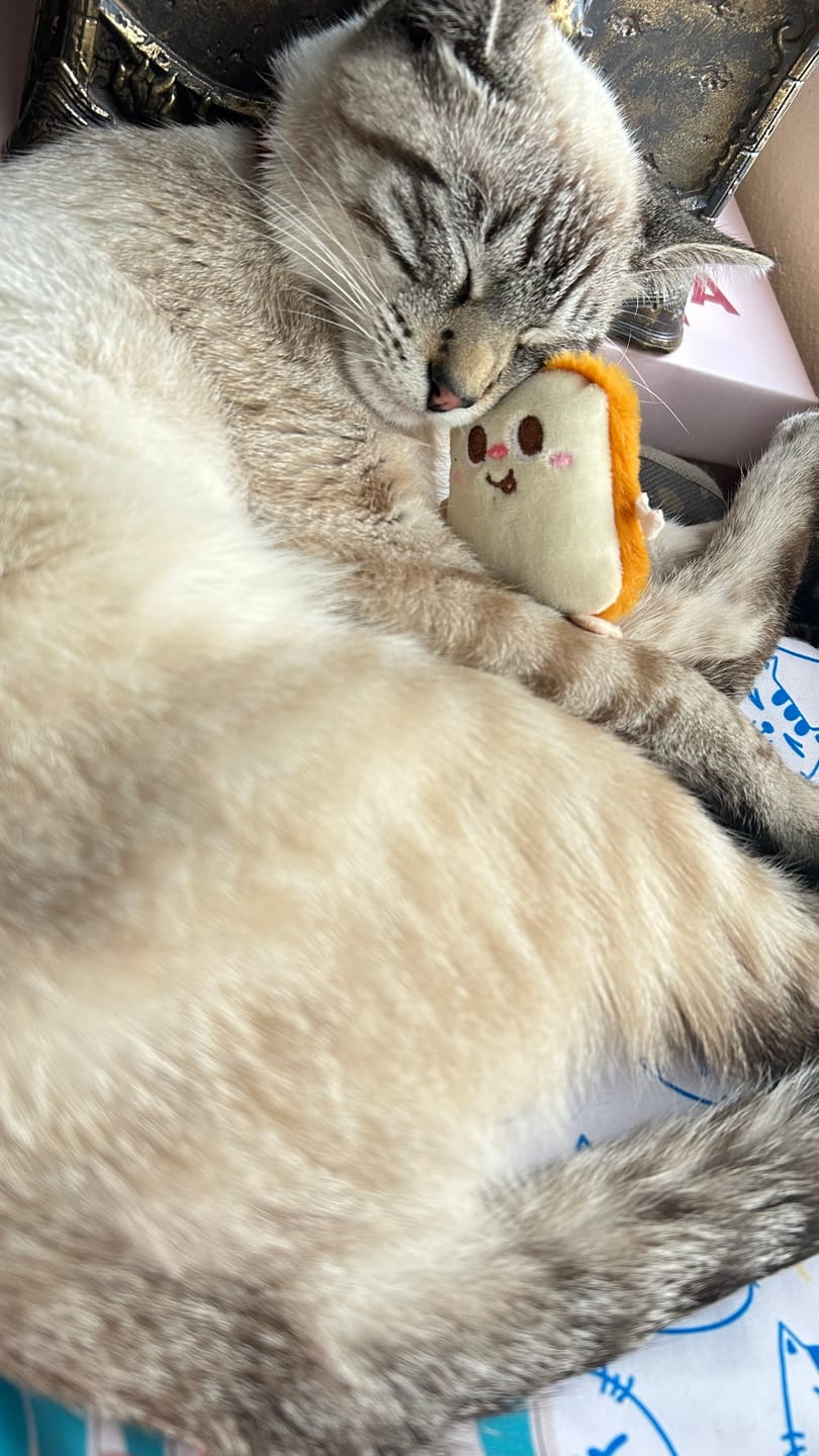 Customer photo review of CT0187 1 Pieza De Juguete Para Mascota