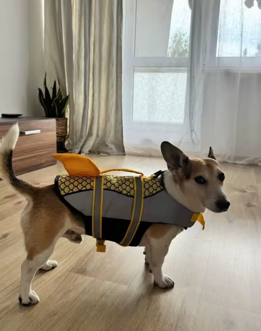 Customer photo review of Chaleco Sharkpets