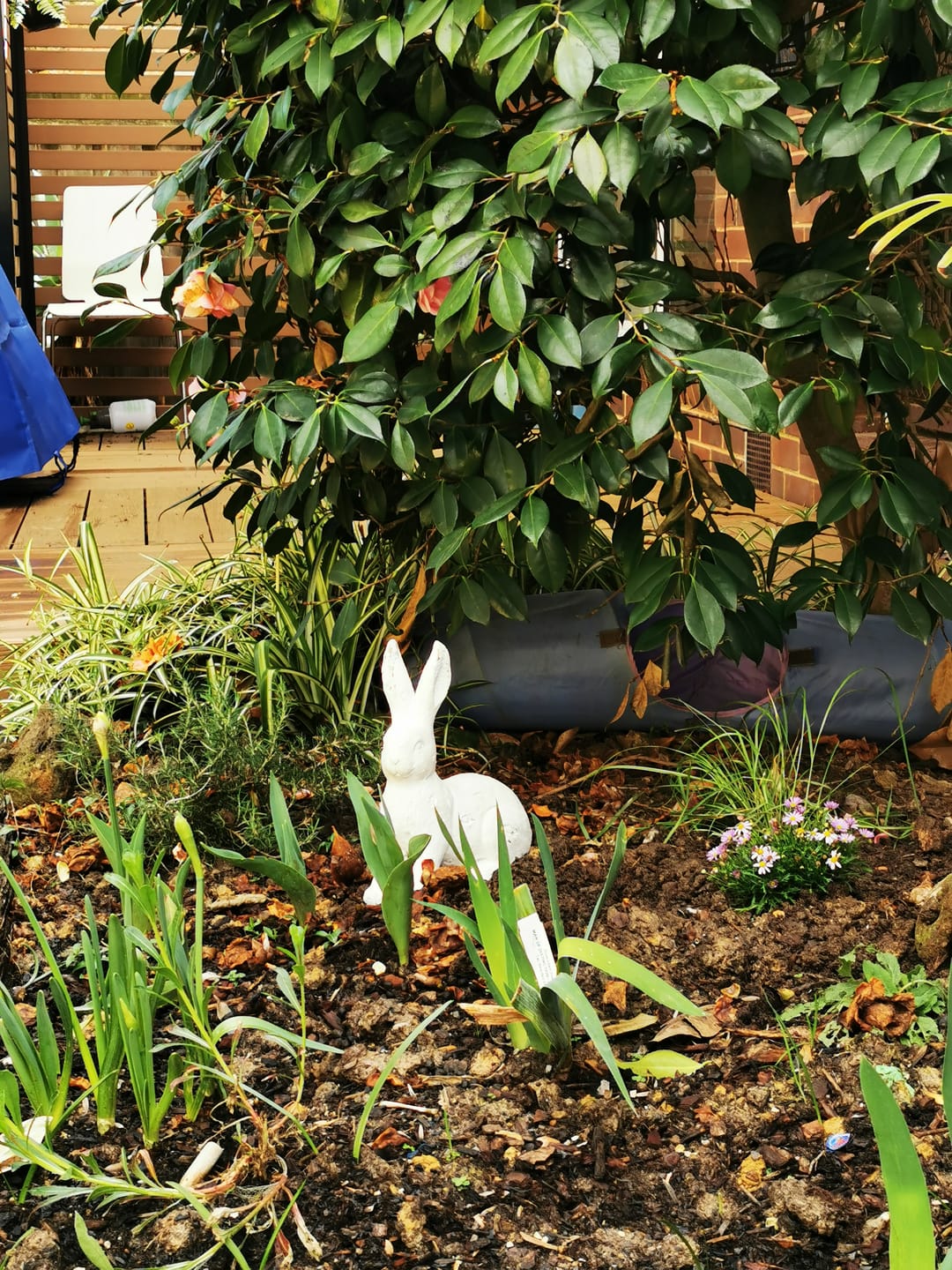 Customer photo review of Pomme French Provincial Rabbit Statue, Whitewashed Magnesia Garden Decor 30cm