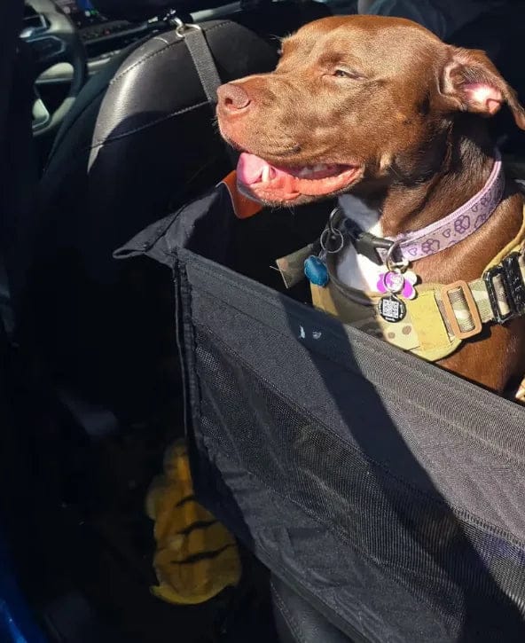 Customer photo review of Caisse de transport sécurisé voiture pour chien