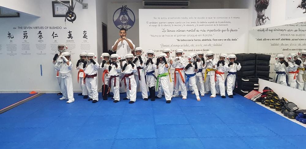 Customer photo review of Karate Vest