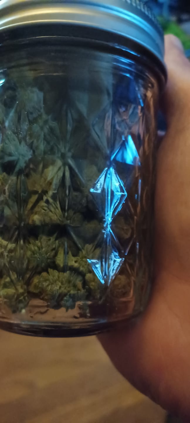 Customer photo review of Light Assist THCA Smalls