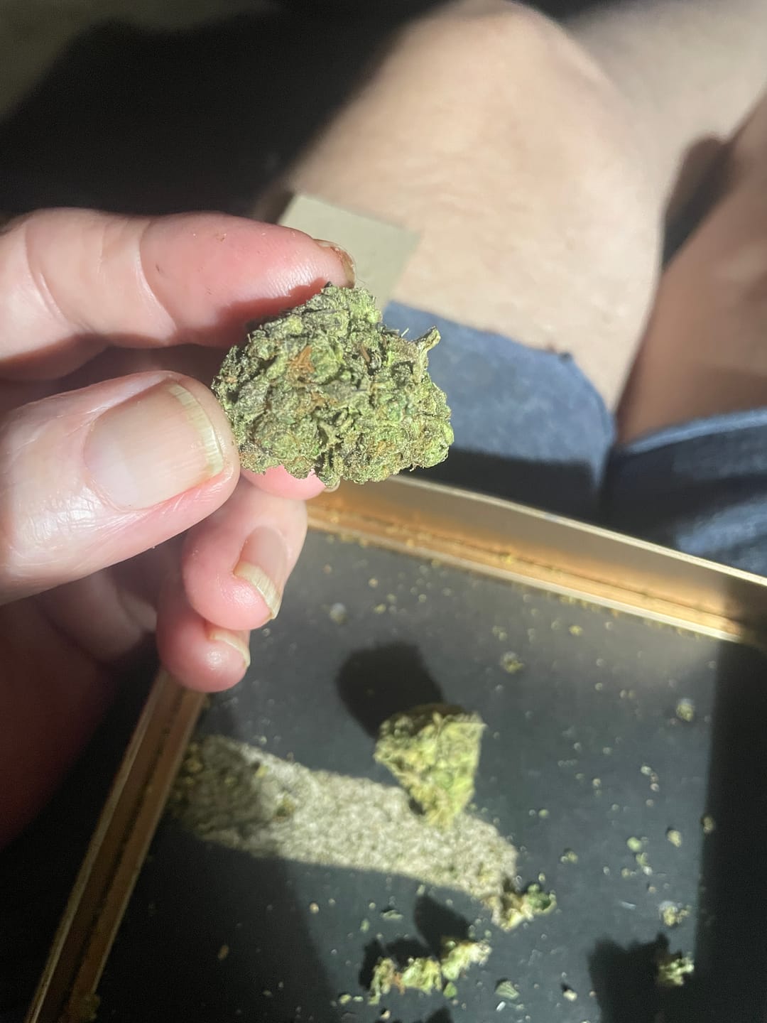 Customer photo review of Green Crack - Minis - 14 Grams - Sativa