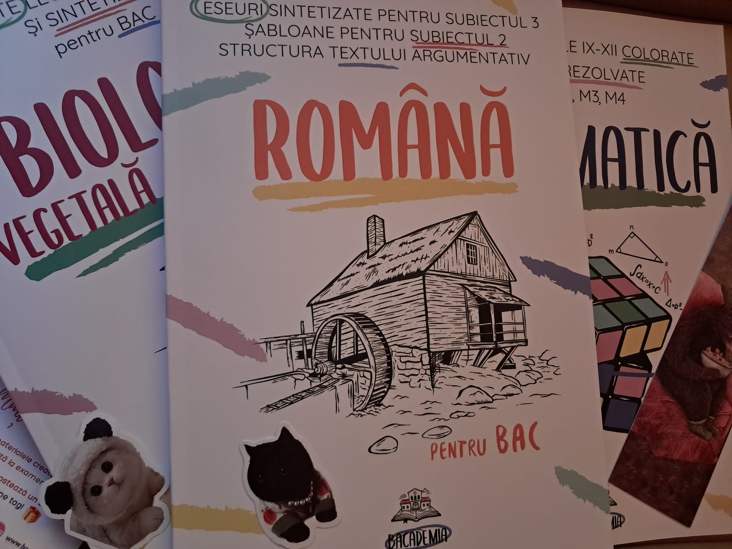 Customer photo review of Pachet Bacalaureat (Română + Matematică + Biologie Vegetală și Animală clasele IX-X) Bacademia