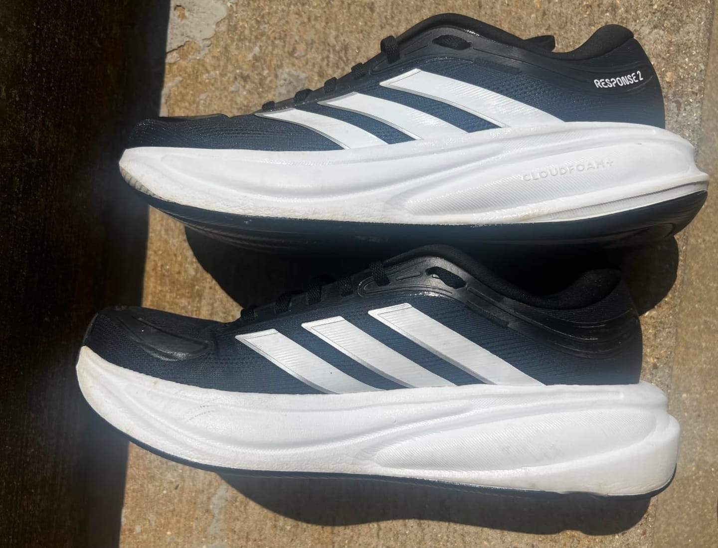 Customer photo review of Shoe Cleaning Solution