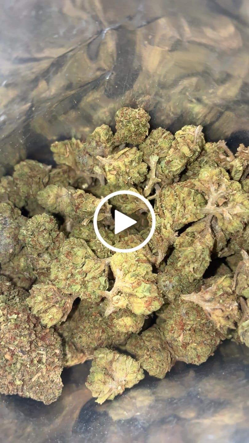 Customer video review of Bulk THCA Flower Pounds