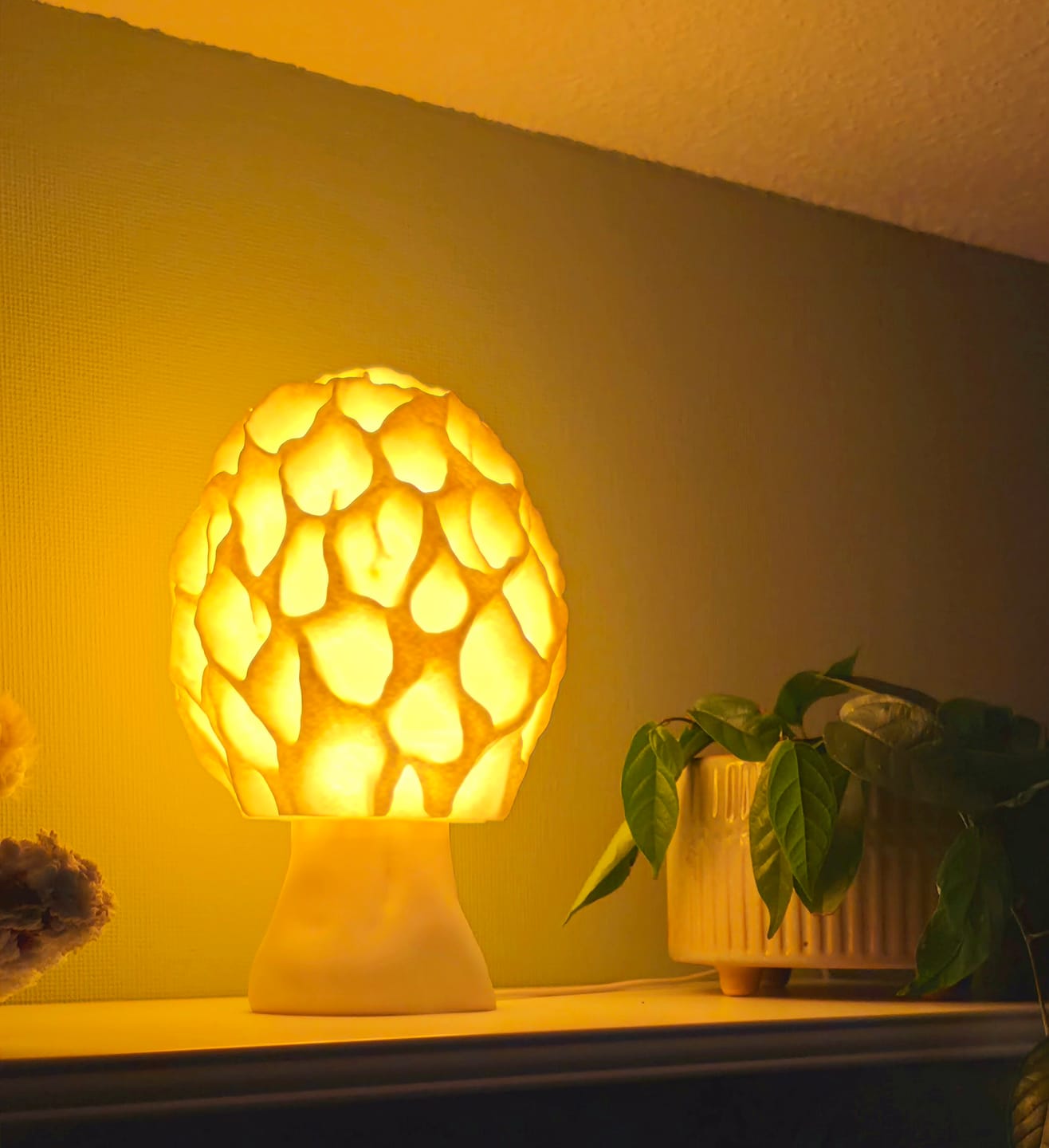 Customer photo review of Morchel Tischlampe – Pilzlampe mit faszinierender Wabenstruktur