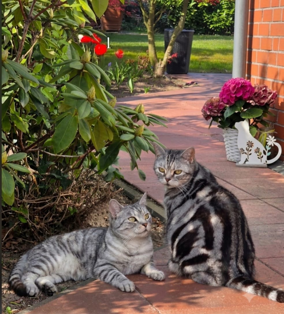 Customer photo review of Wurmtest Basic Katze