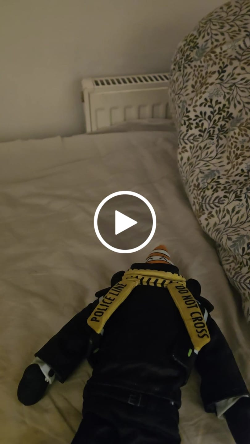 Customer video review of Original Character (OC) Design Plush