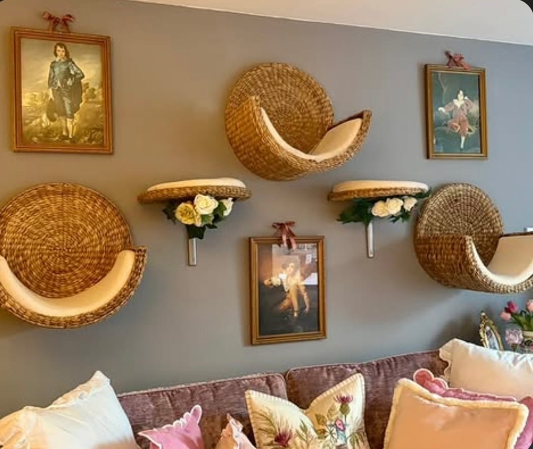 Customer photo review of CozyWhisker™ - Handwoven Cat Bed
