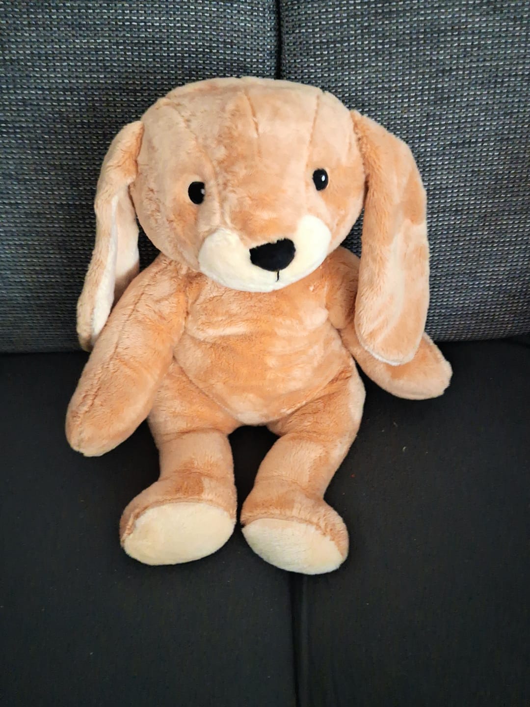 Customer photo review of Lotgenootje Konijn 2kg