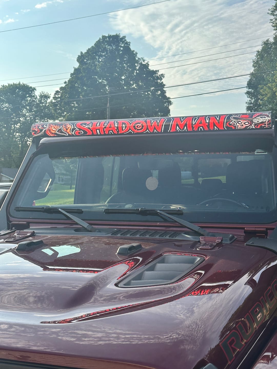 Customer photo review of Custom InsertZ | Dual Row 52"