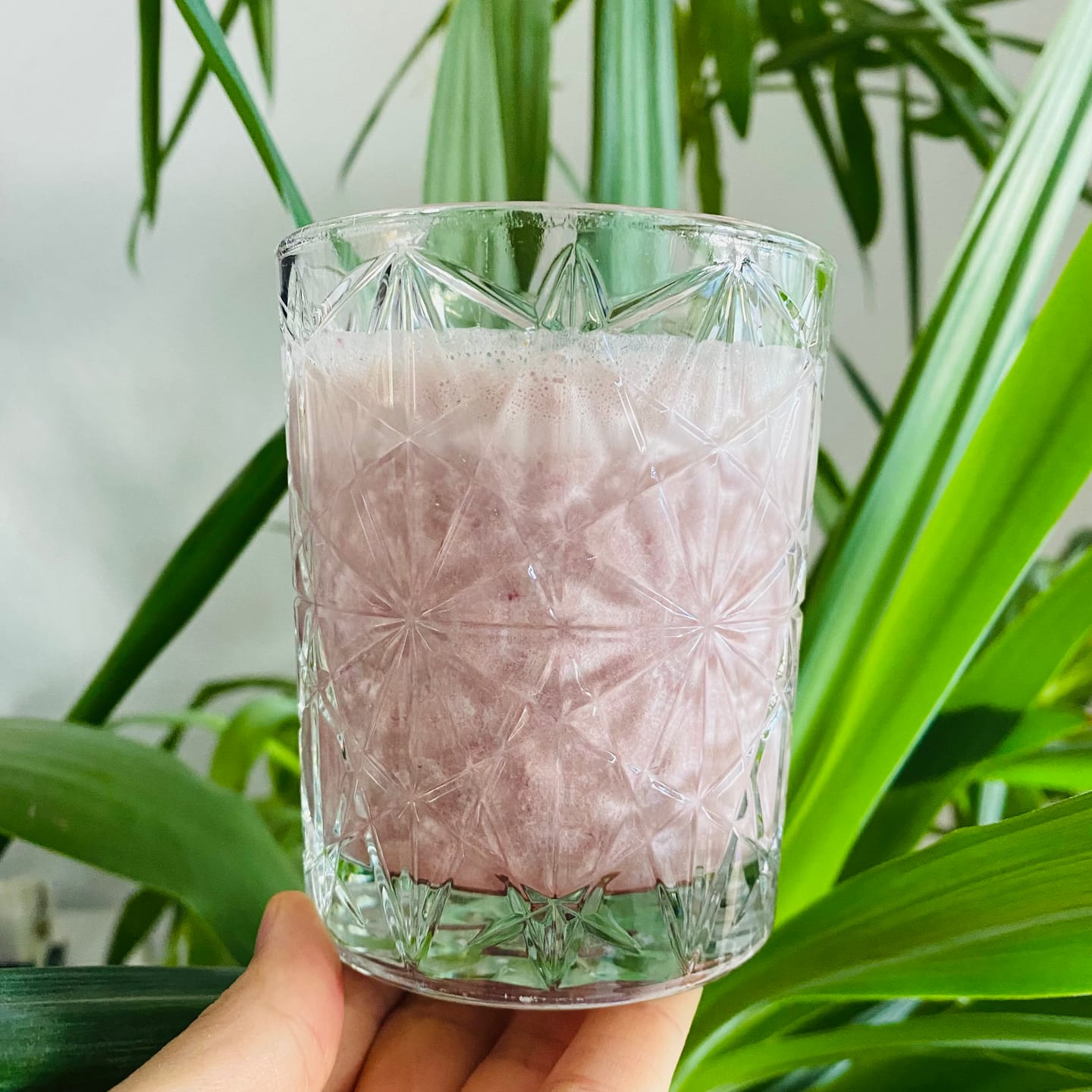 Customer photo review of Nourishing Vanilla Protein (vegan)