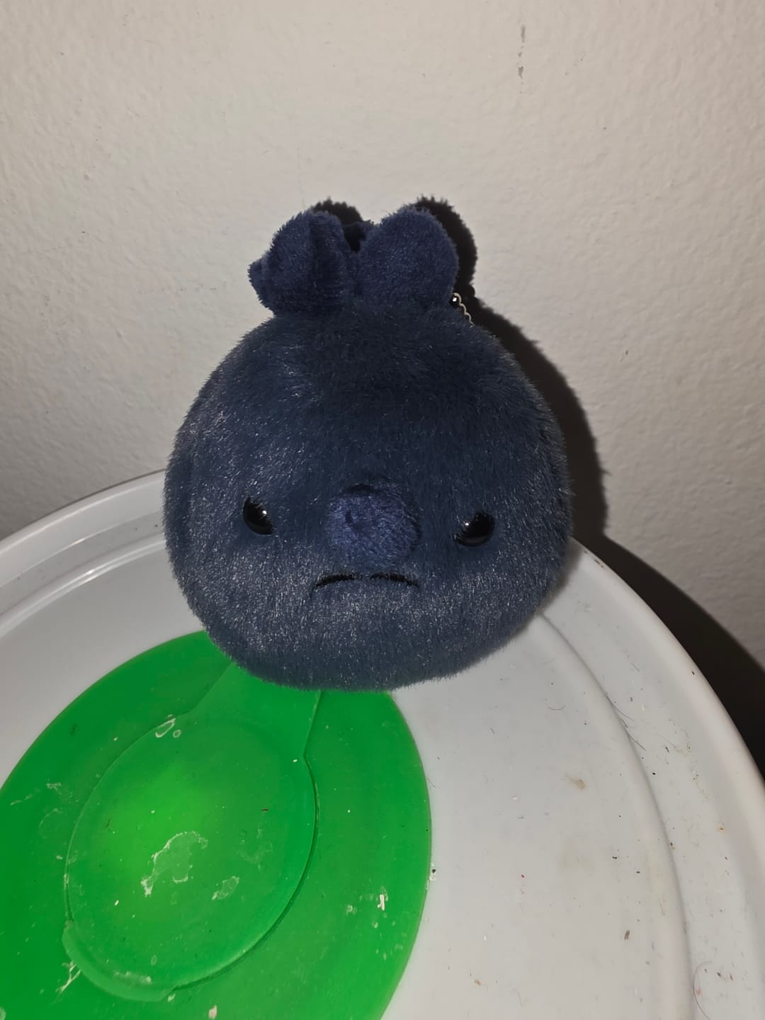 Customer photo review of Forgotten Single Blueberry