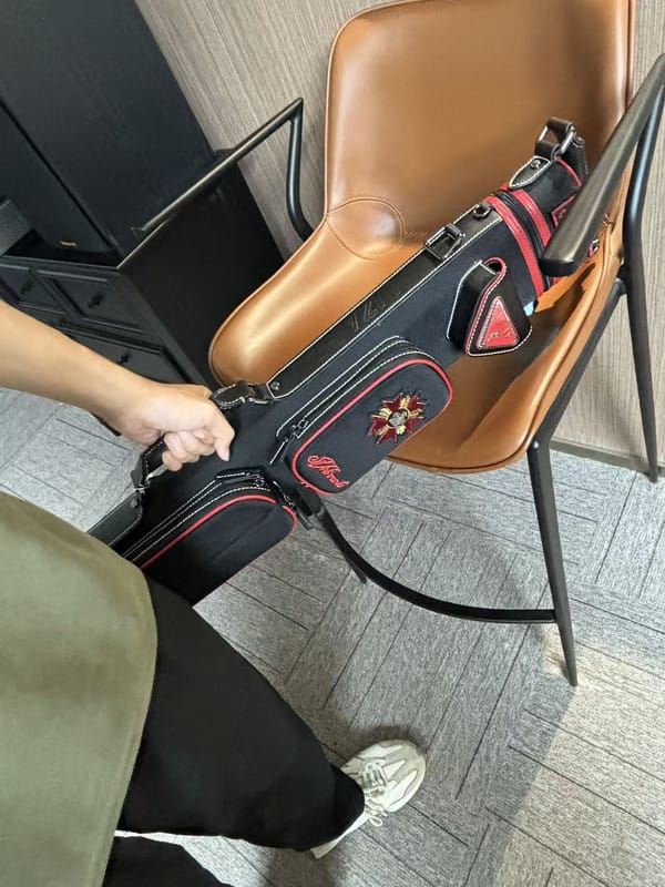 Customer photo review of Lizard Scarab Series Cue Case 3B4S