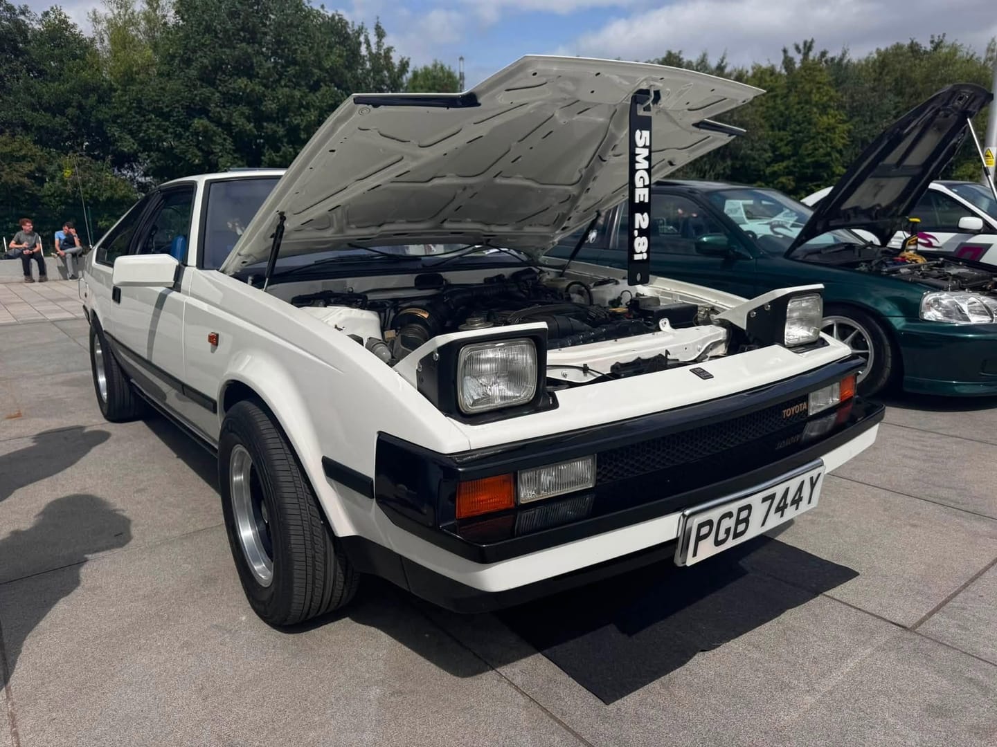 Customer photo review of Custom Universal Bonnet Props (4D Acrylic)