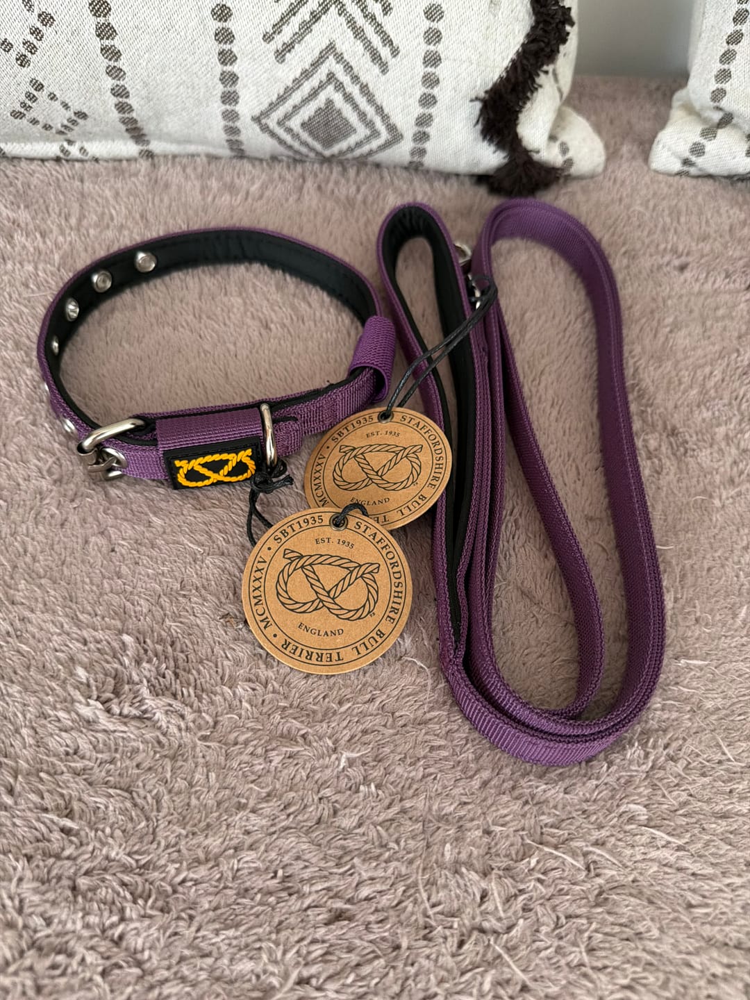 Customer photo review of Staffordshire Bull Terrier 1935® Puppy Collar & Leash Set - Purple