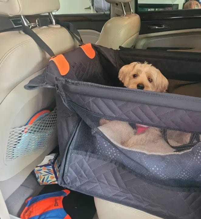 Customer photo review of Caisse de transport sécurisé voiture pour chien