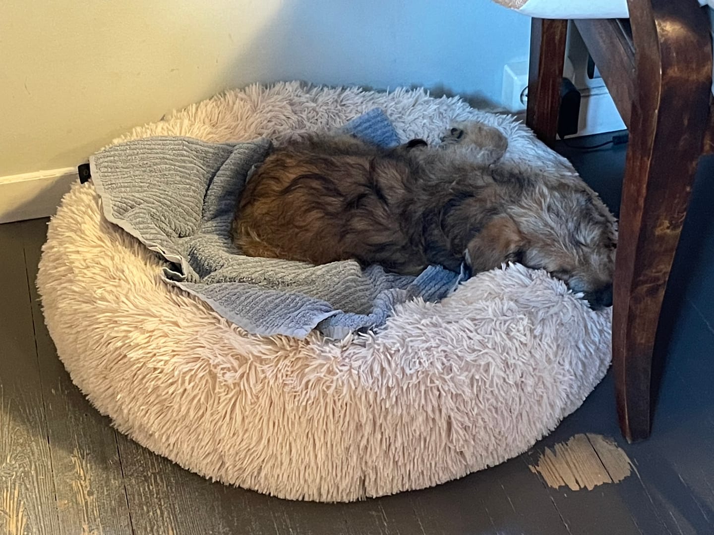 Customer photo review of CalmBed - Motvirker stress & hjelper mot angst