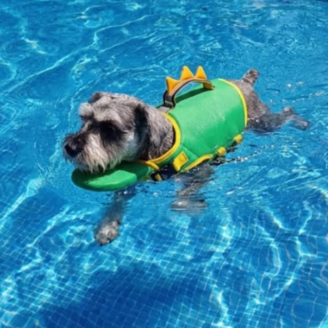 Customer photo review of Flotador Canino
