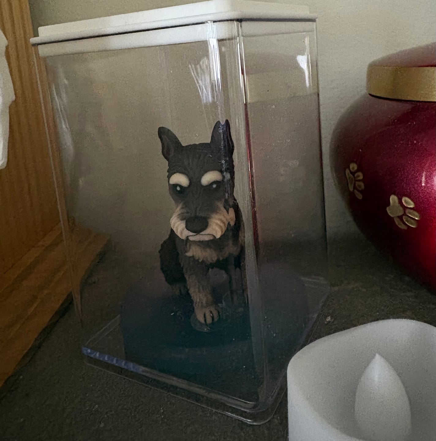 Customer photo review of Dust-Proof Acrylic Display Case