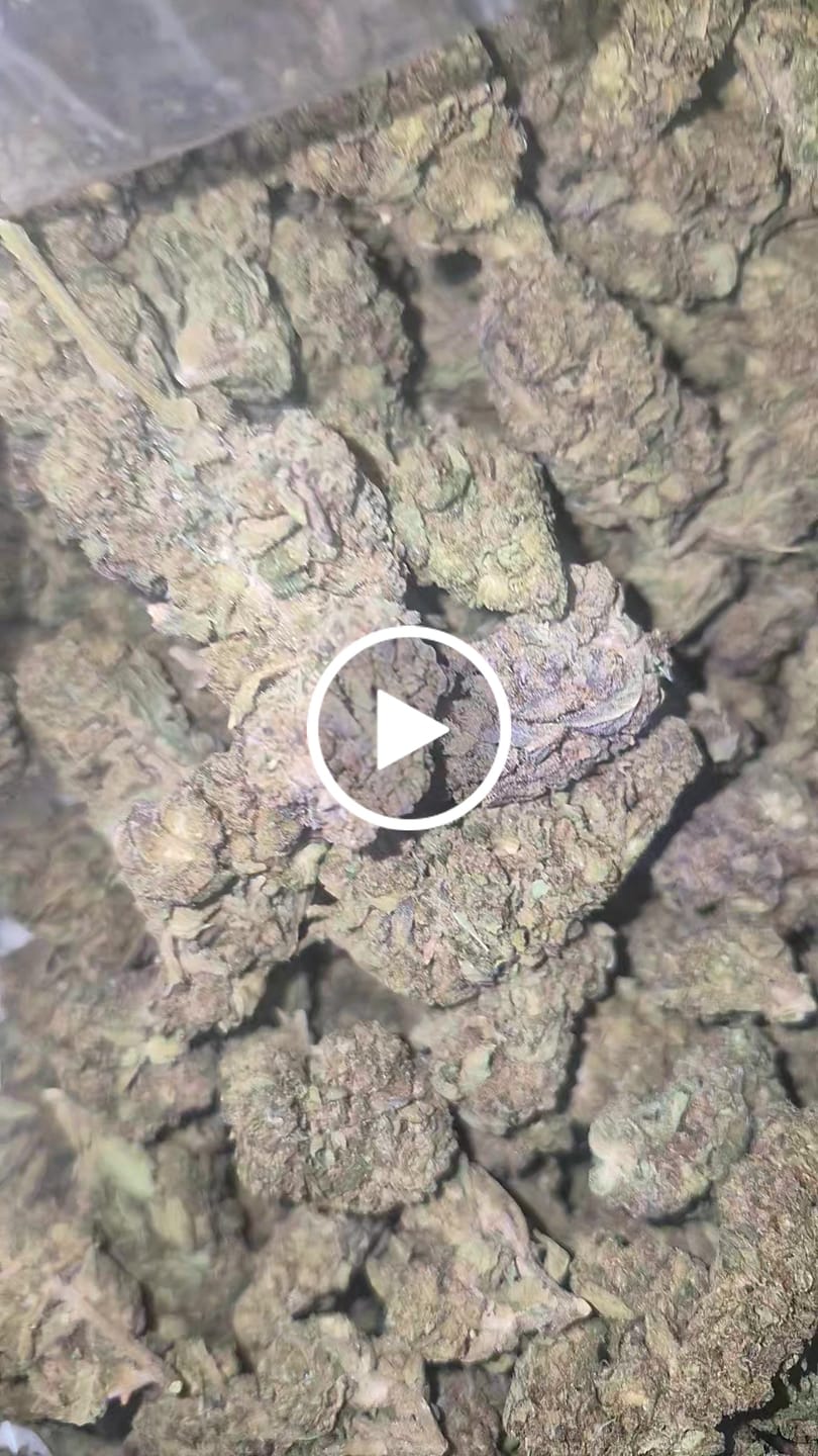 Customer video review of Bulk THCA Flower Pounds