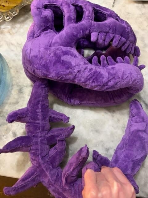 Customer photo review of Dino Plush Hoodie