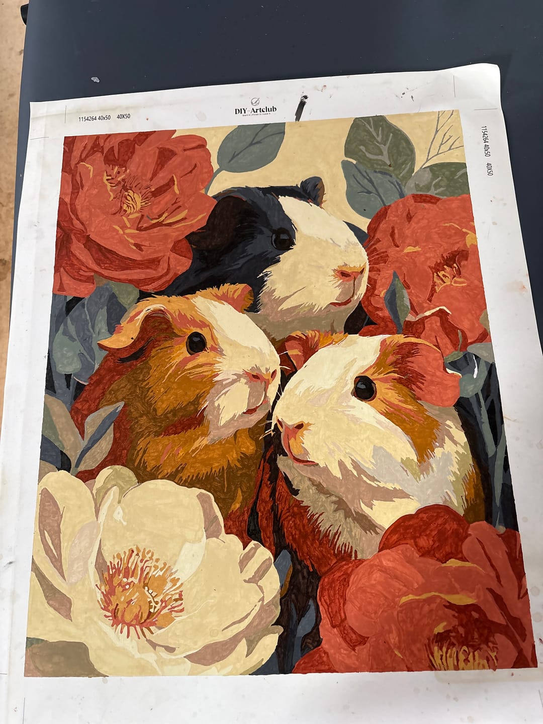 Customer photo review of Guinea Blooms | Paint by Number