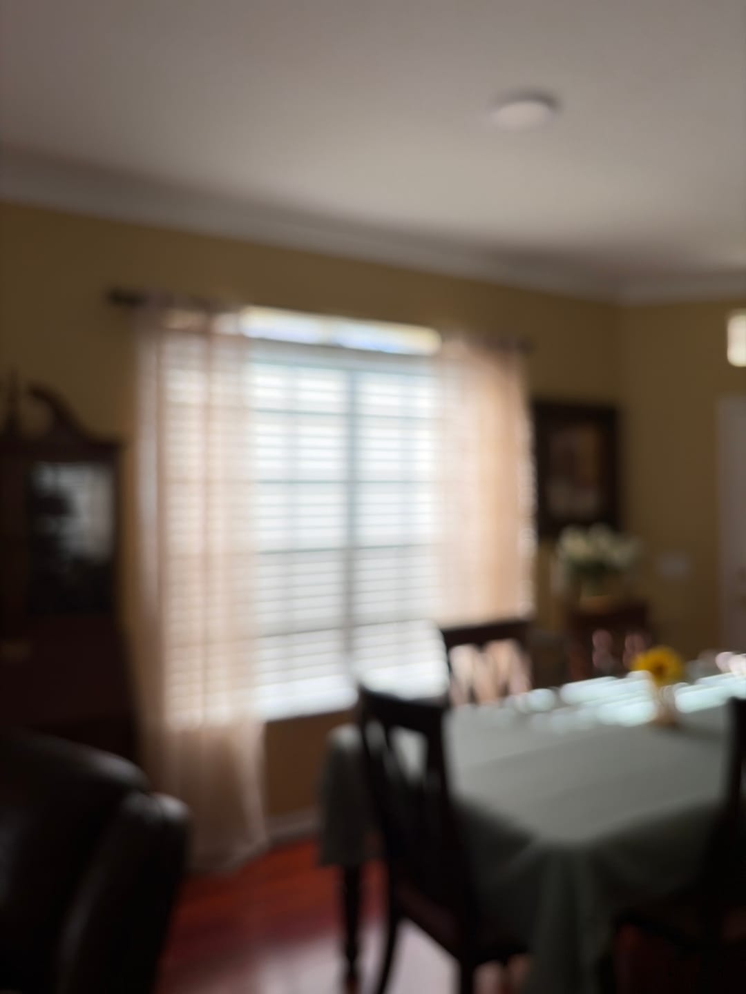 Customer photo review of Leaf Embroidered Sheer Curtains (2 Panels)