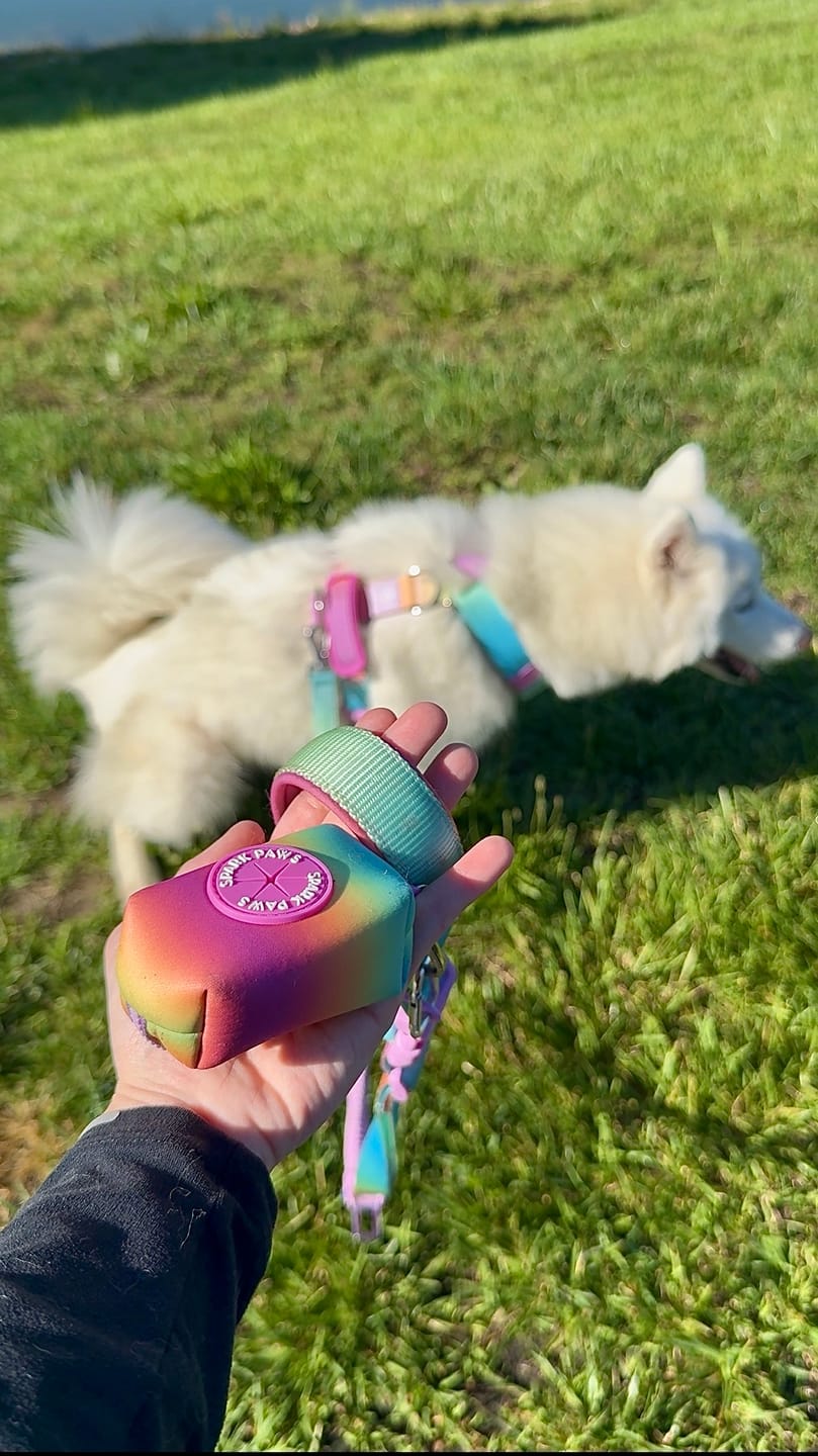 Customer photo review of Multipurpose Seatbelt Handsfree Leash & Poop Bag Holder Set - Pastel Icing