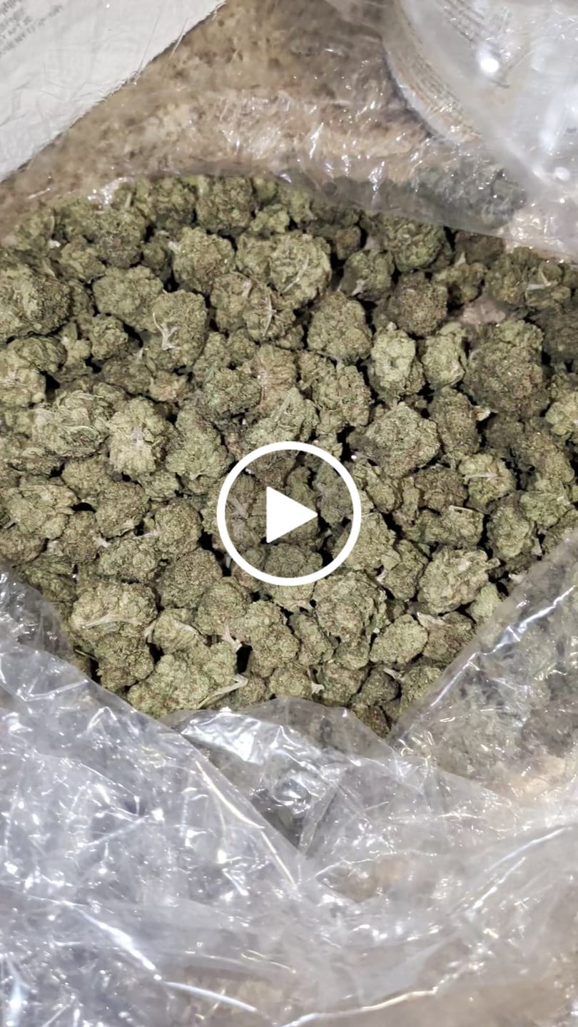 Customer video review of Lemon Cherry Gelato Mediums - Bulk Mediums - Hybrid