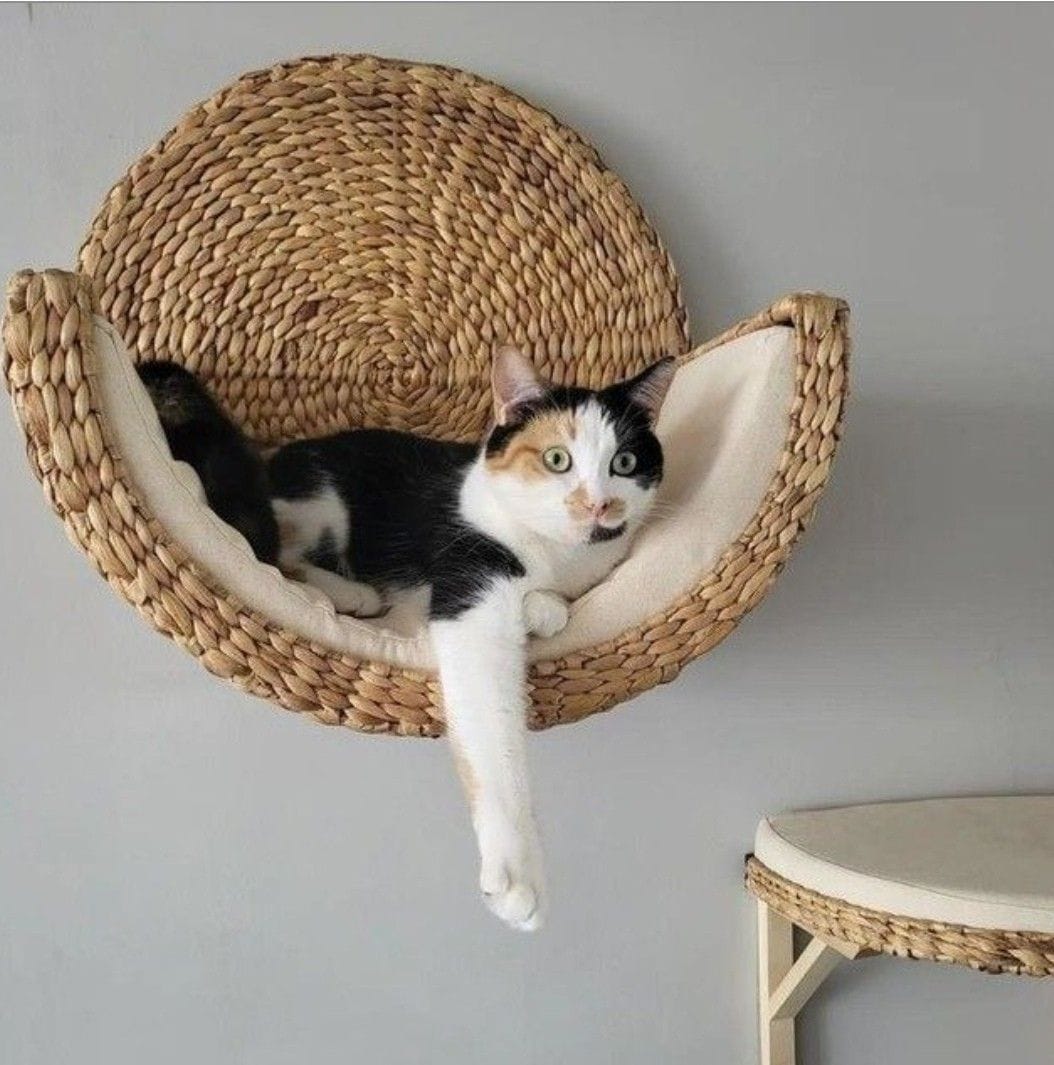 Customer photo review of CozyWhisker™ - Handwoven Cat Bed