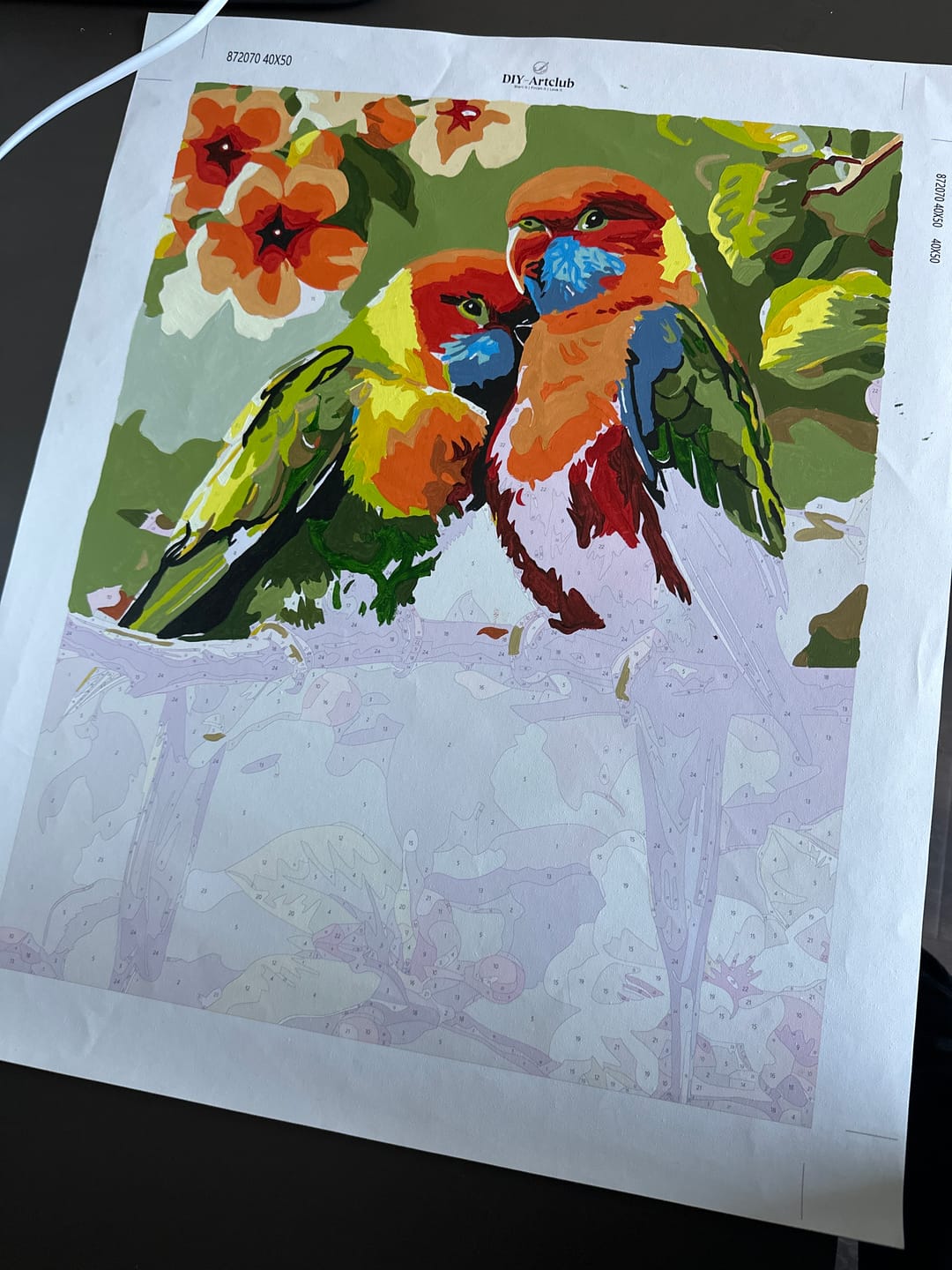Customer photo review of 2 Colorful Birds | Paint by Numbers