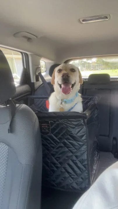 Customer photo review of Caisse de transport sécurisé voiture pour chien