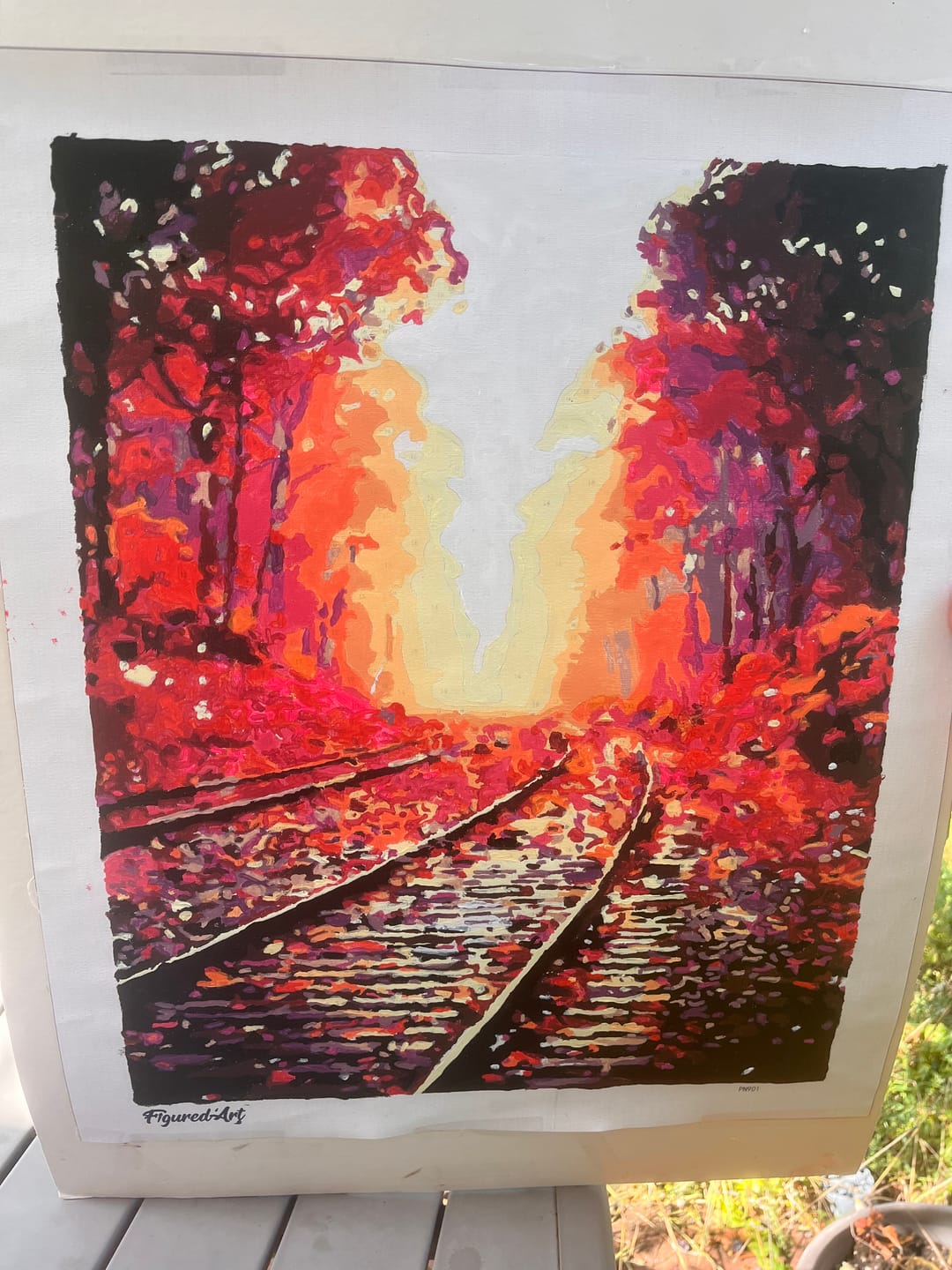 Customer photo review of Les Rails en Automne