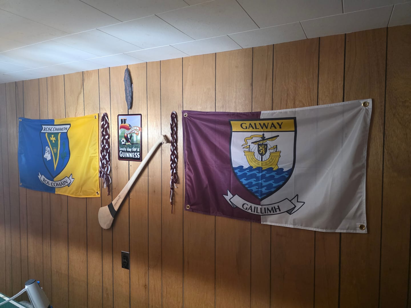 Customer photo review of Galway County Crest Flag