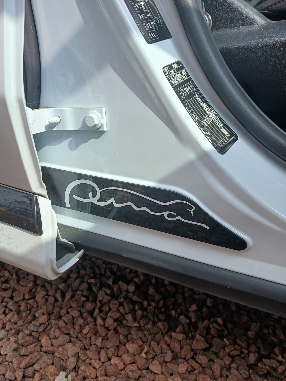 Customer photo review of Mk2/2.5 Puma Door Sill Plates