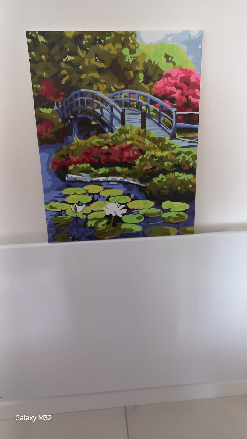 Customer photo review of Le Pont de Nihonbashi au Japon