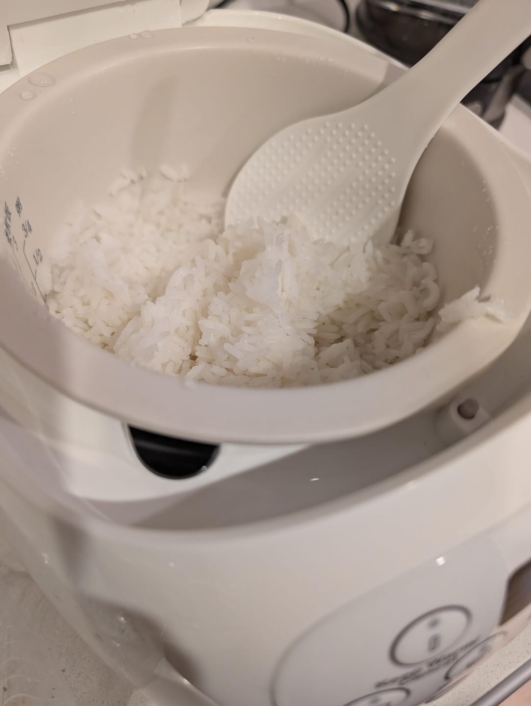 Customer photo review of Kylin Electric No Coating Ceramic 3 Cup Mini Rice Cooker 1.2L AU-K1012