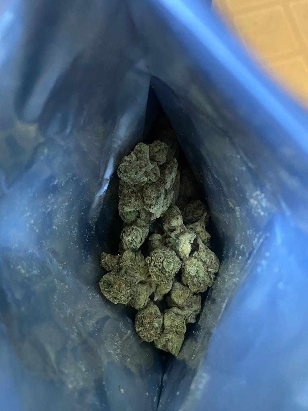Customer photo review of Speaker Knockers Indoor THCA Mediums
