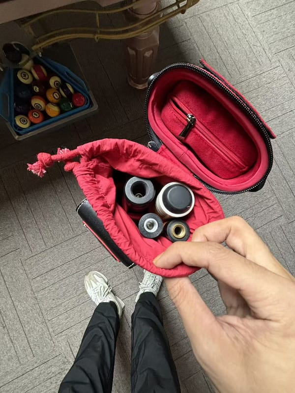 Customer photo review of Lizard Scarab Series Cue Case 3B4S
