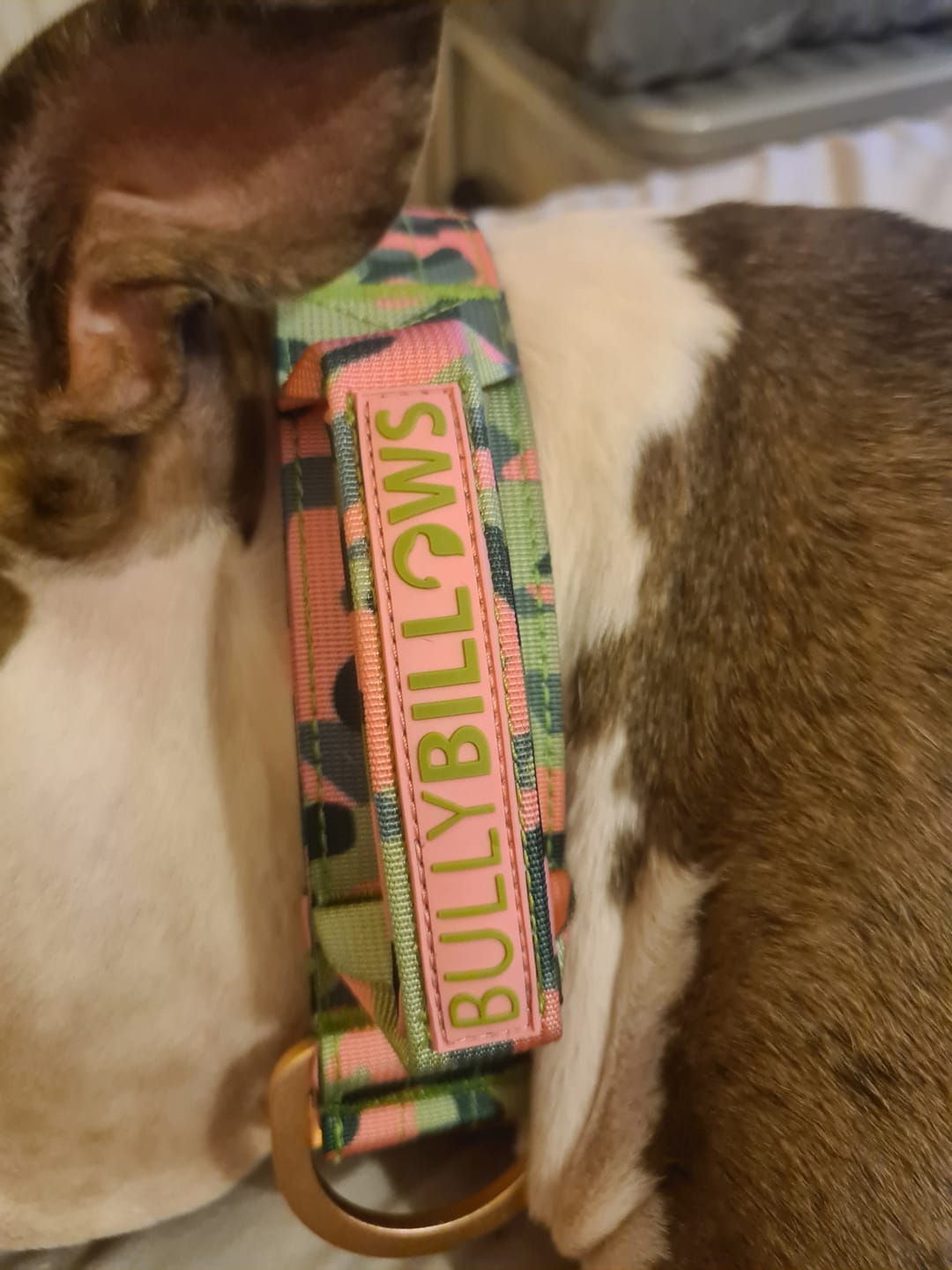 Customer photo review of 5cm Lighter Combat® Collar | With Handle & Secure Clip - Pink Camouflage