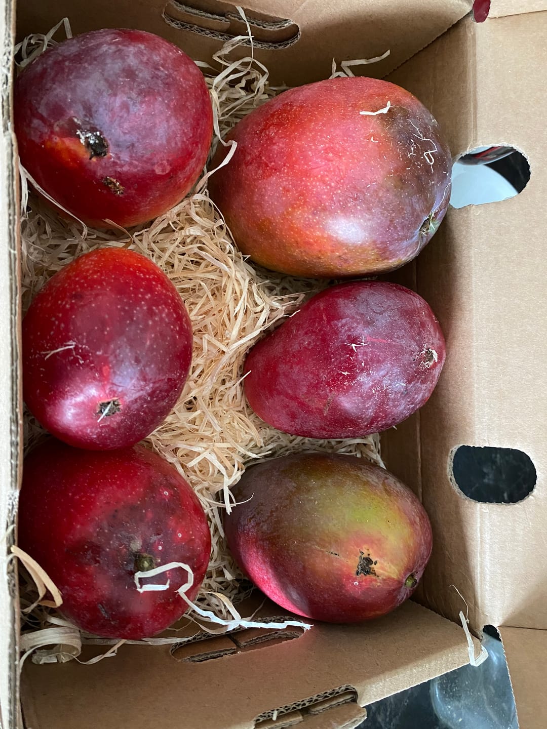 Customer photo review of Mango Irwin Edelsorte Bio von Julian
