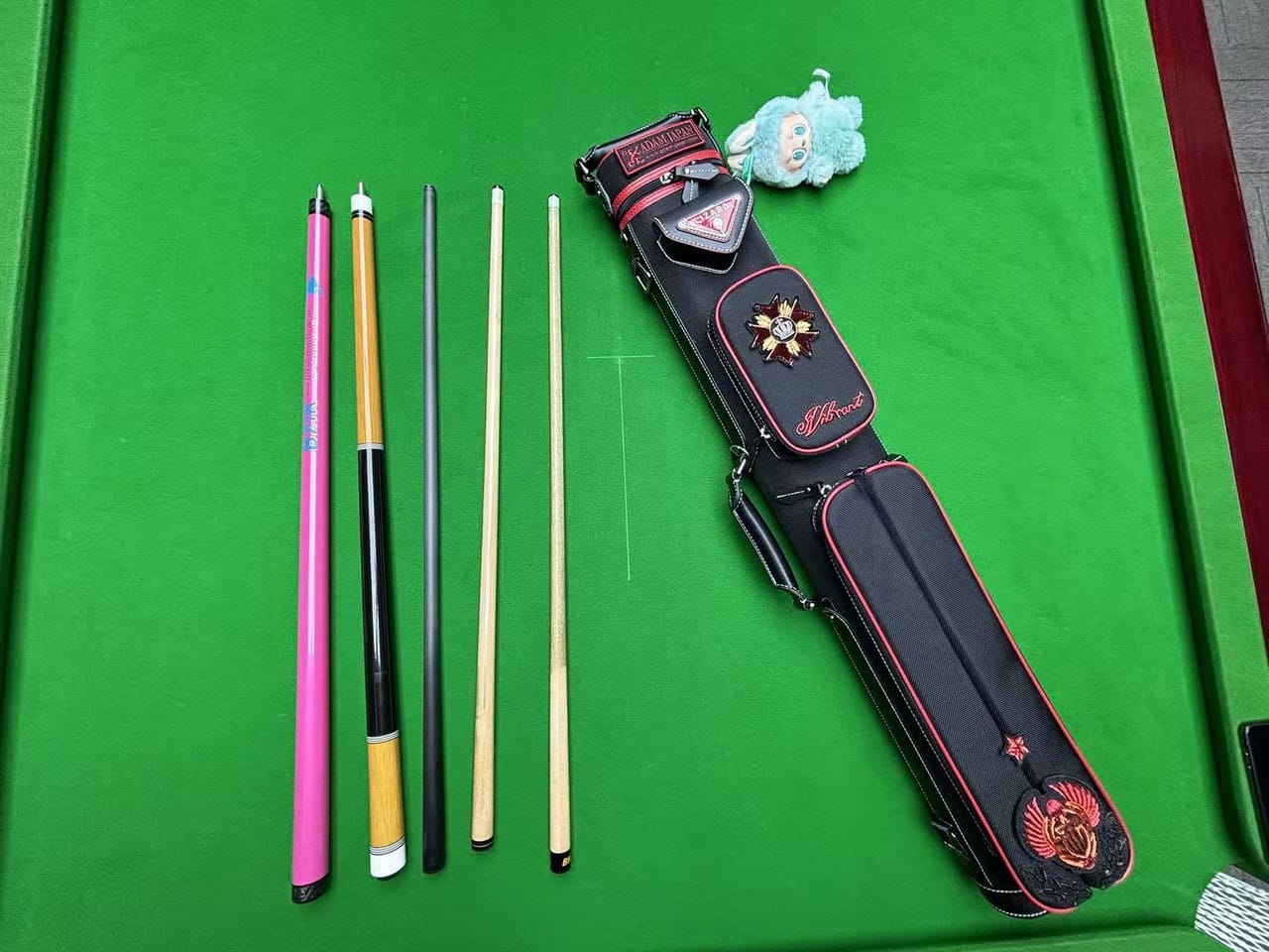 Customer photo review of Lizard Scarab Series Cue Case 3B4S