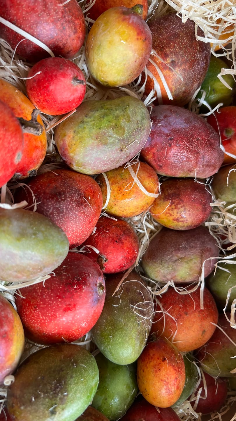 Customer photo review of Mini-Mango von Juan 3kg Retterbox %