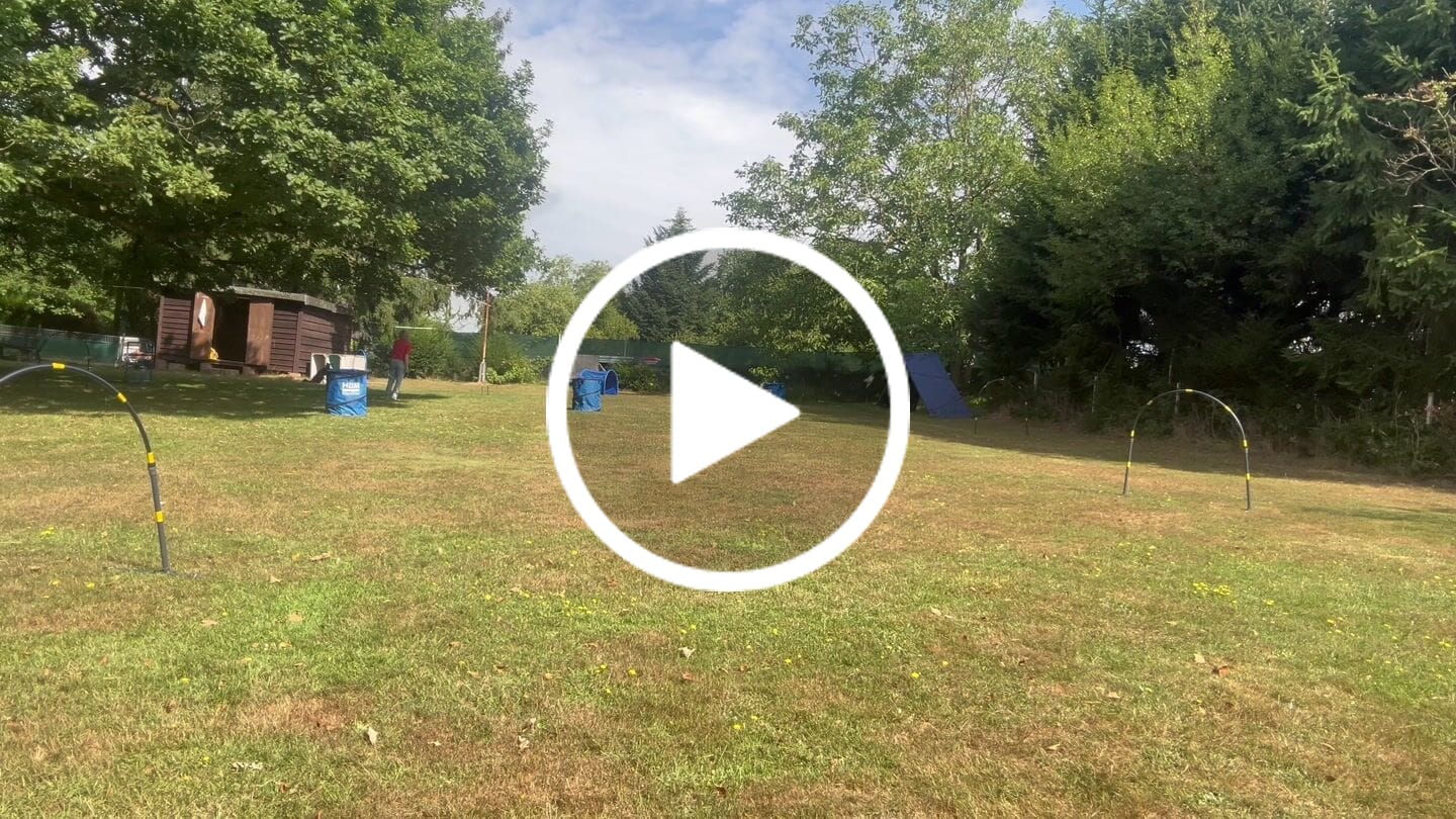 Customer video review of Wurmtest Pro Hund