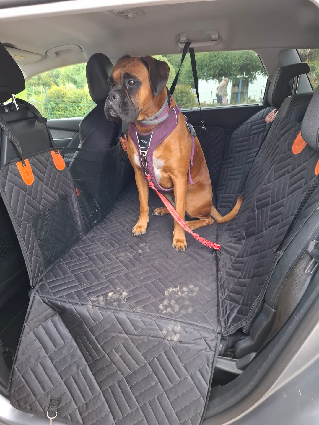Customer photo review of Housse de voiture pour chien - K9 GuardShield : protection intégrale