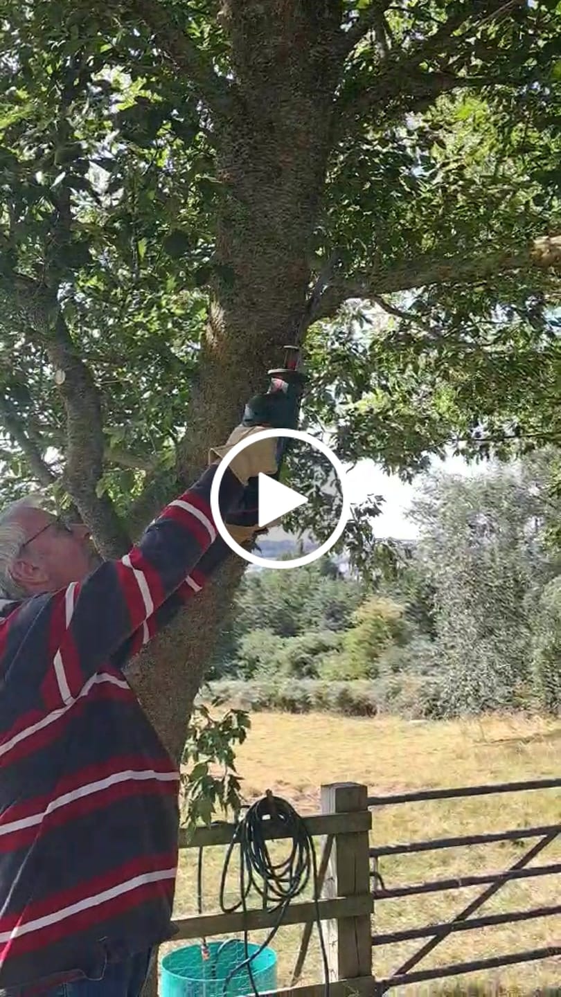 Customer video review of Tree Trimming/Wood Cutting – Japanese Teeth Arc Edge 6 TPI Reciprocating Saw Blade
